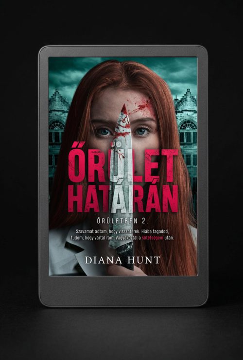 Őrület határán - ebook